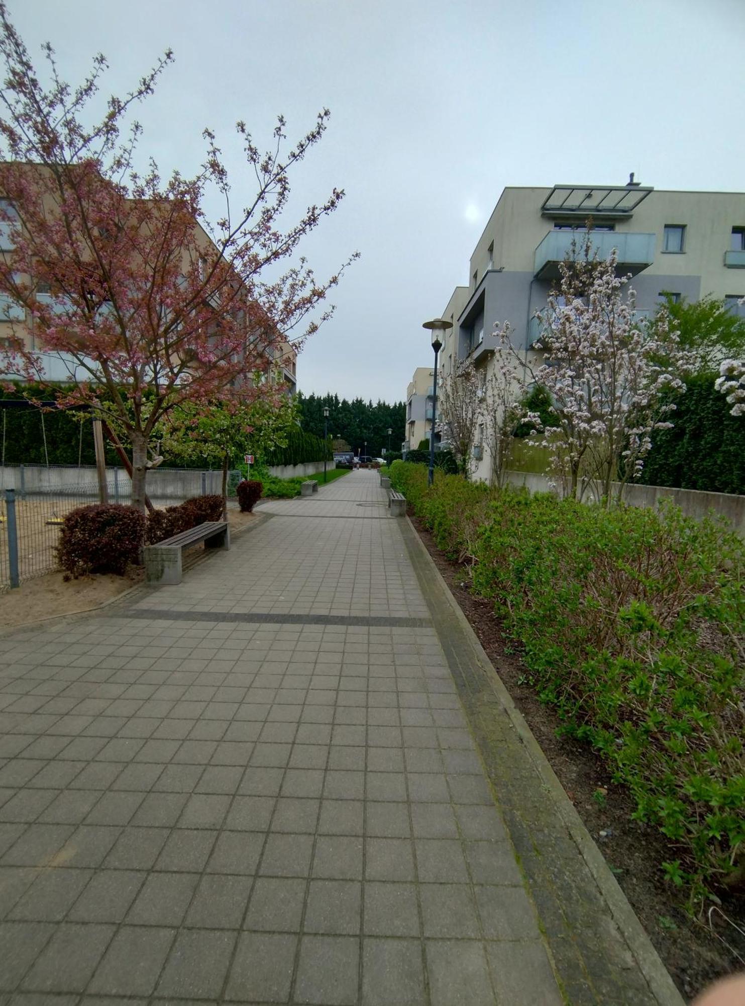 Apartament 1E Barbakan Szczecin Kültér fotó